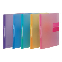 Высокопроизводительные цветовые полупрозрачные файлы PP Производители папки в Китае, пластиковый файл отчета A4